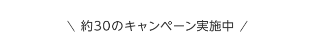 約30のキャンペーン実施中