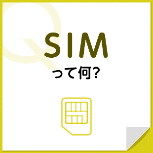 Q.SIMって何？
